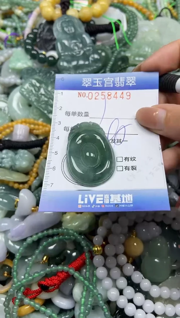 颈饰未镶嵌翡翠闪购C0258449