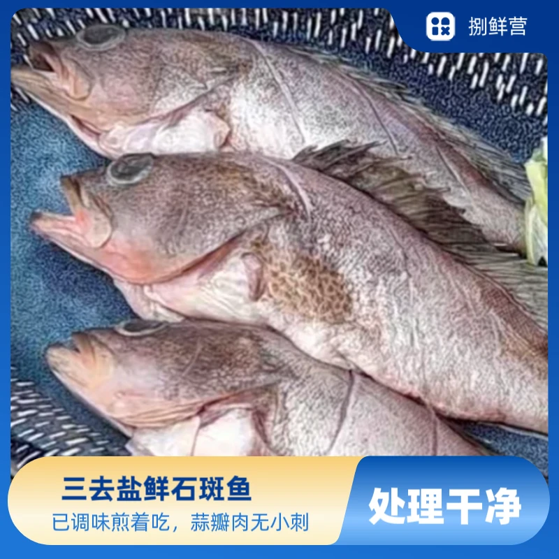 【5条】福建三去盐鲜石斑鱼四大名鱼之一约150g*5条