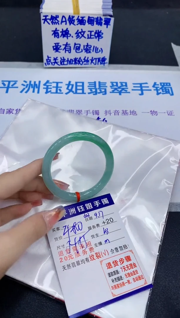 未镶嵌手镯翡翠11111
