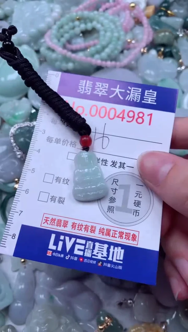 翡翠未镶嵌吊坠(不含链)4981