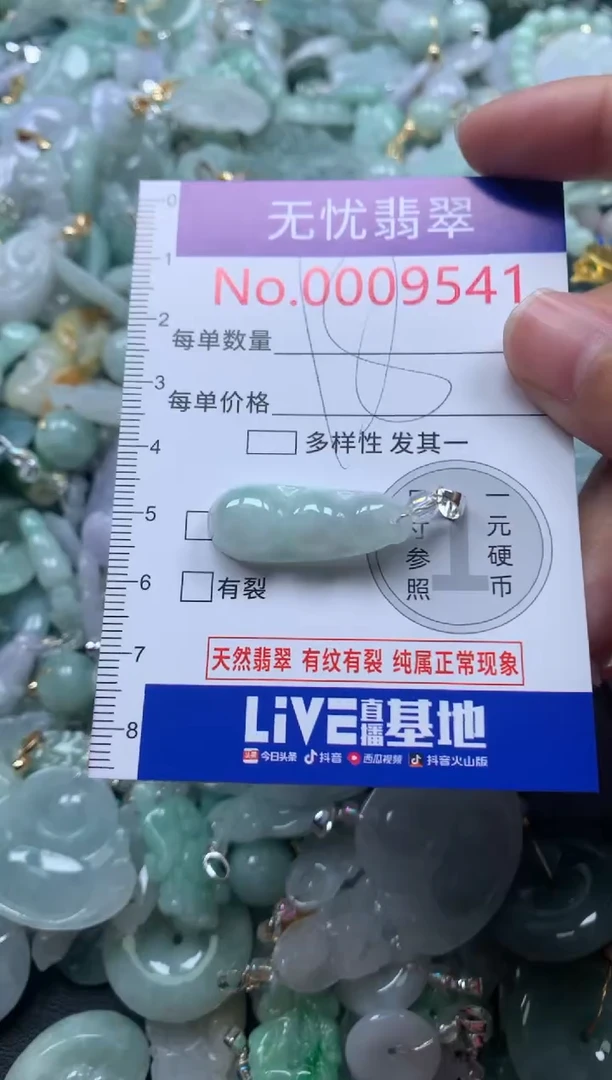 颈饰未镶嵌翡翠9541