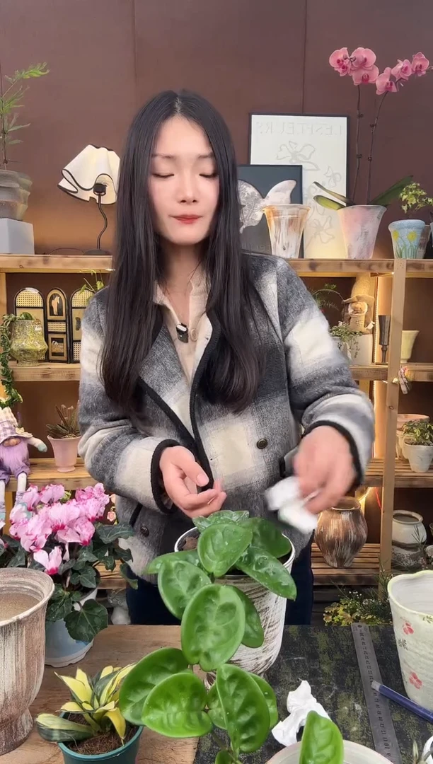 以实际为准苏*.克林顿加盆一套388