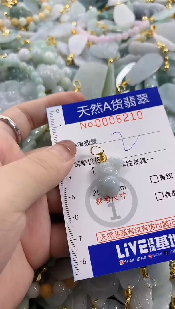 颈饰未镶嵌翡翠天然A货翡翠