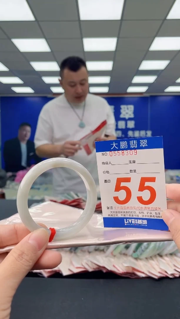未镶嵌手镯翡翠AAAAAAAAAA