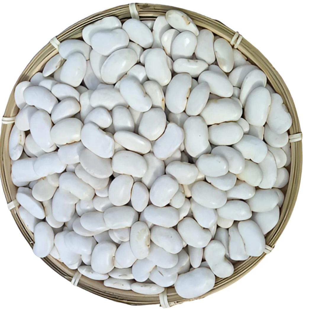 大白芸豆新豆【云南高山白芸豆】五谷杂粮老妈蹄花