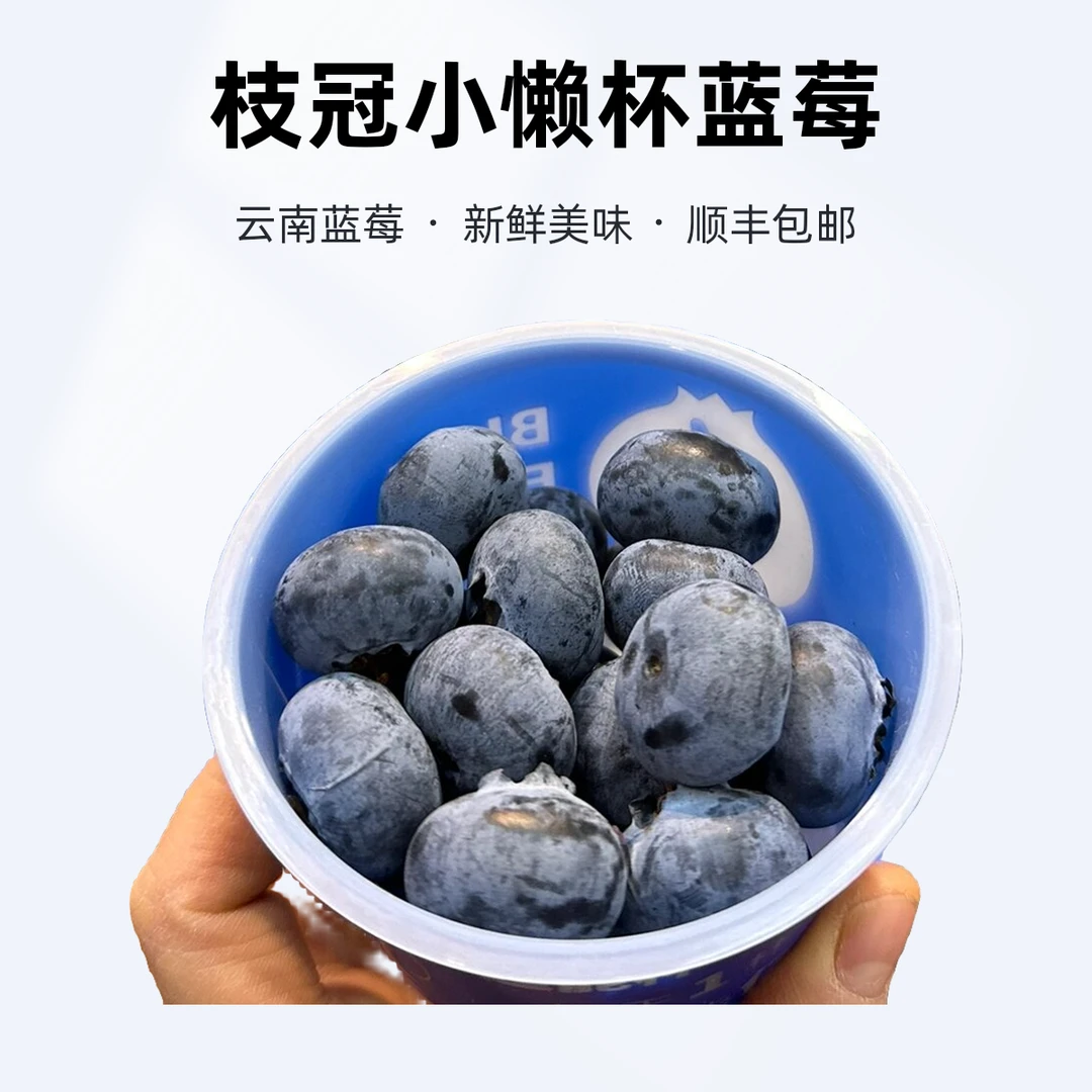 枝冠超能杯小懒杯云南高山25花香蓝莓鲜果礼盒整箱luckycup特大