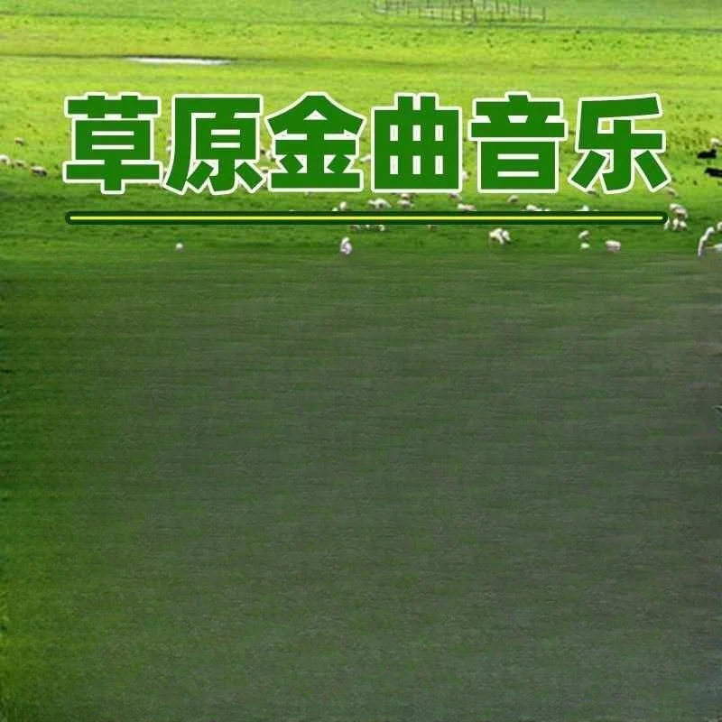 草原歌曲车载u盘高音质大草原音乐实力唱将合集车用MP3草原歌