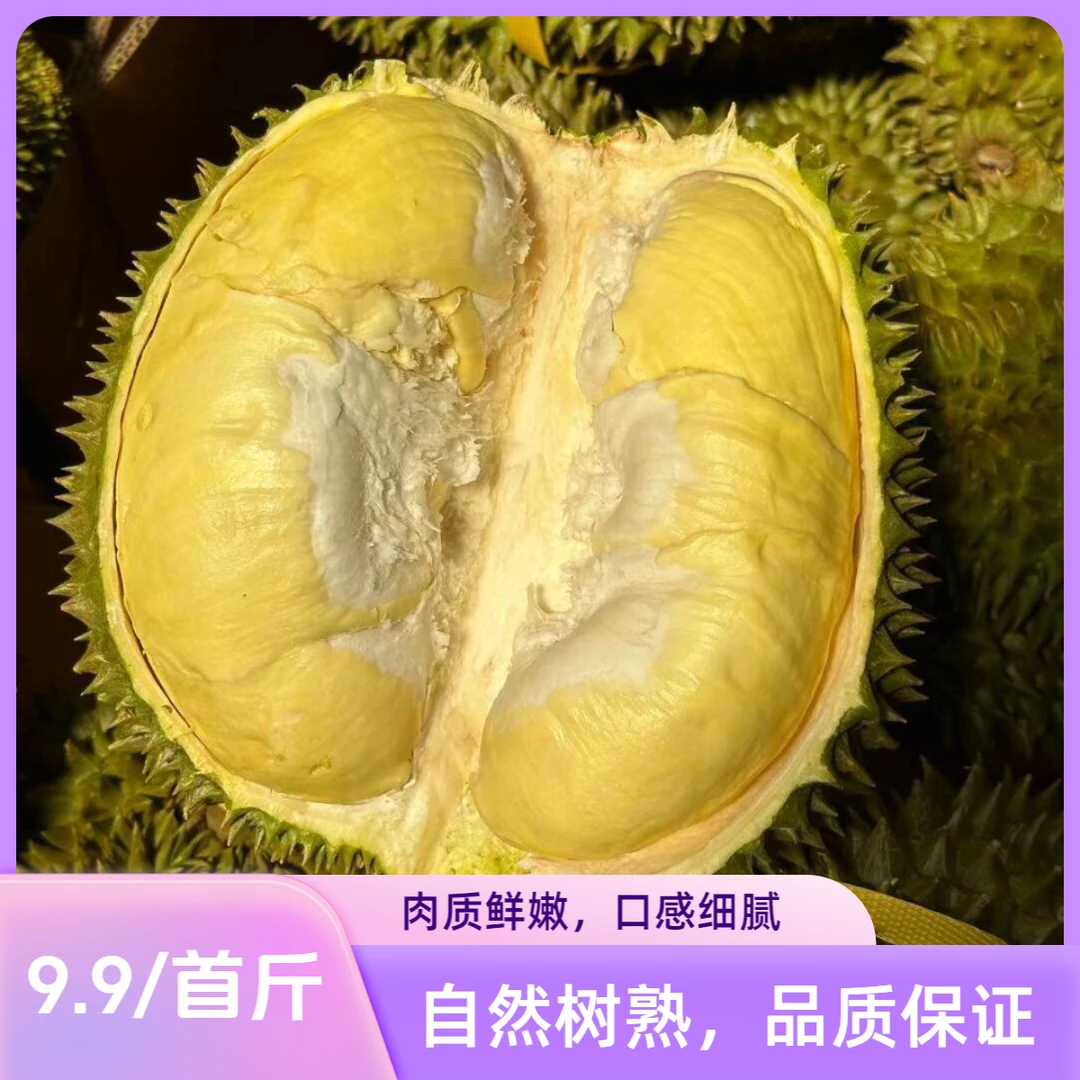 树熟金枕9.9/斤每人仅限一斤【齐齐哈尔同城】泰国树熟金枕核小肉厚新鲜榴莲一果一重金枕泰国