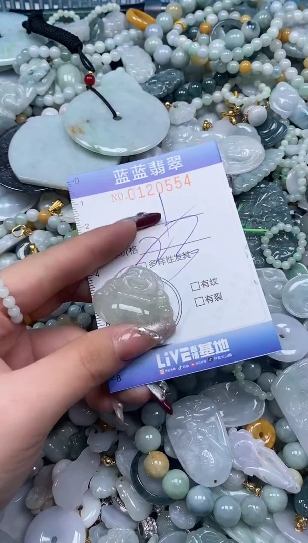 【闪购商品】翡翠颈饰未镶嵌闪购0120554多样性发其一