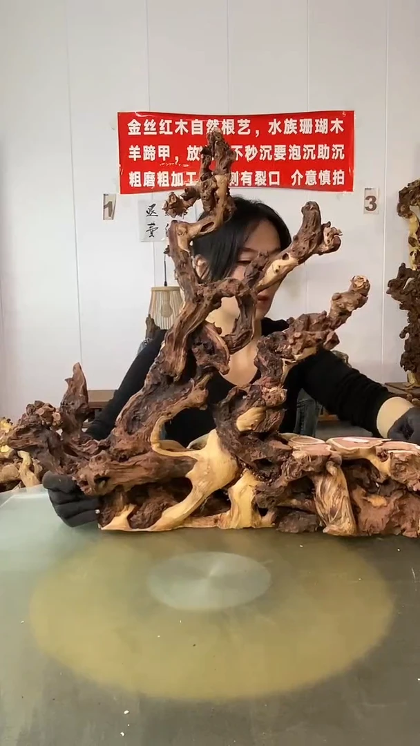 香榧木眼****！金丝红木 羊蹄甲