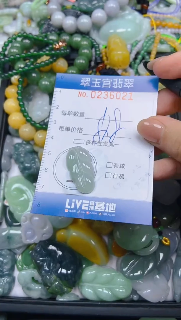 颈饰未镶嵌翡翠闪购C0236021