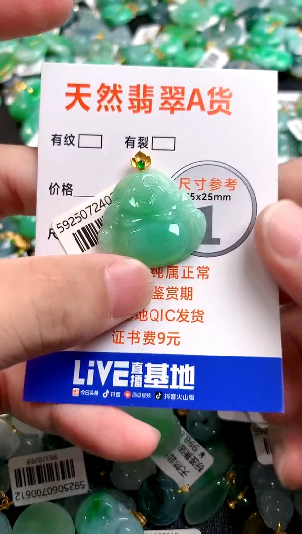 颈饰18K金镶嵌翡翠0852279503