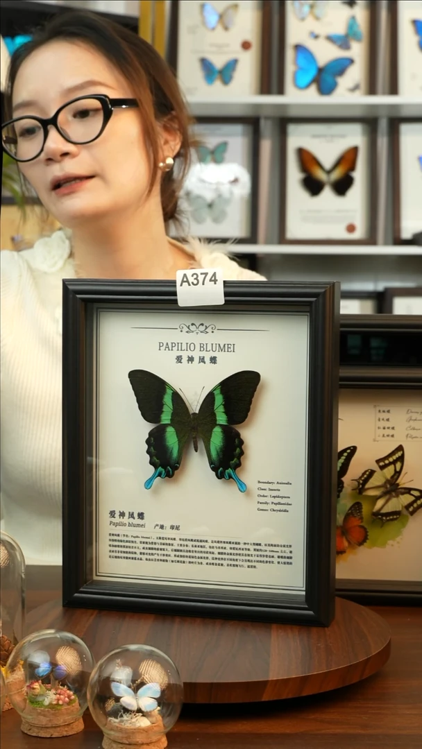 爱神凤蝶-中文（10寸欧式黑框）A374