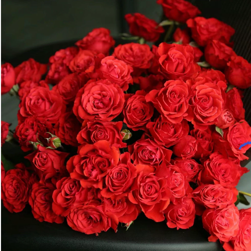 【小阿阮】A级 #霓虹泡泡#红色多头玫瑰花期长清新家庭鲜花顺丰直发