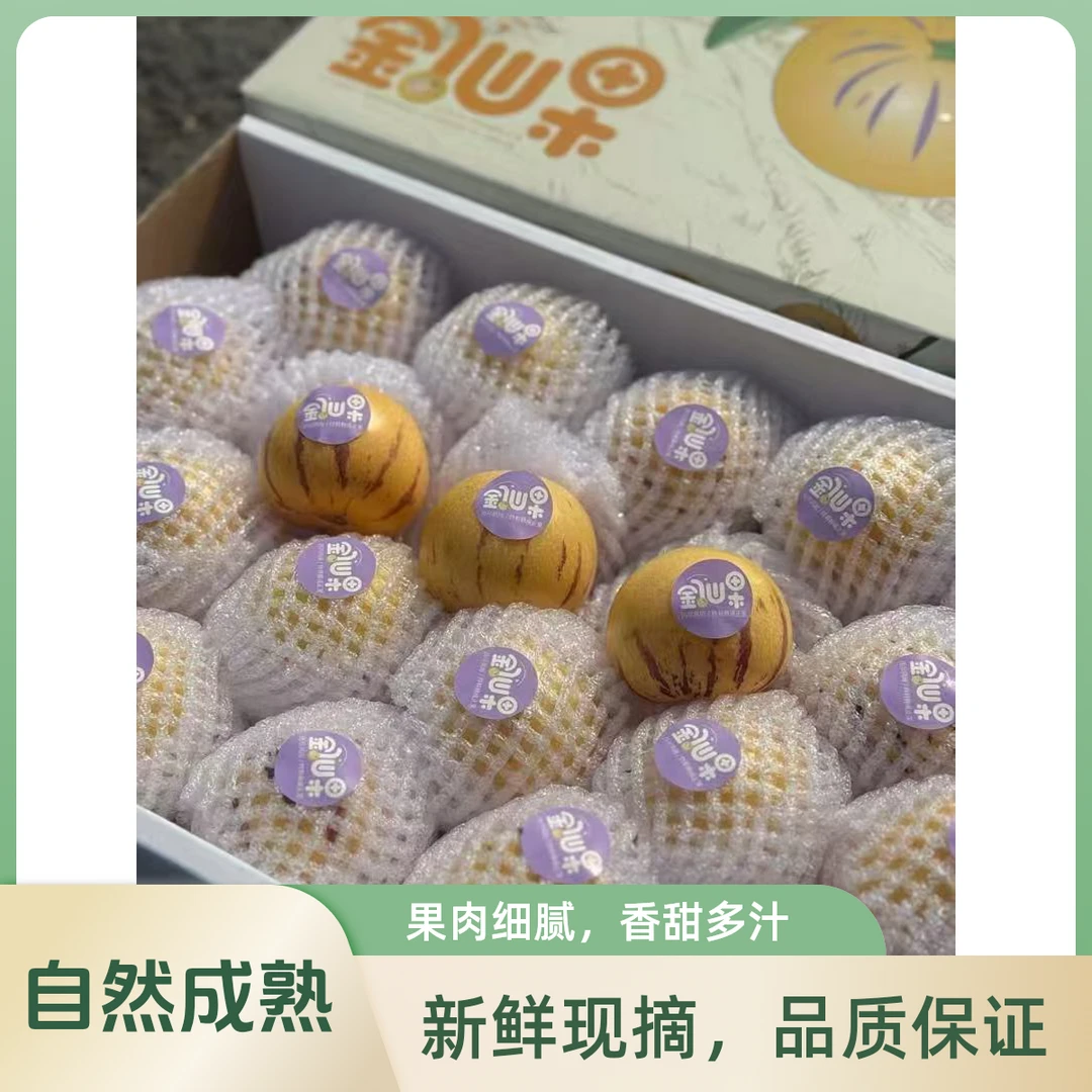 白富美黄肉人参果 礼盒装带箱5斤大果18-20个新鲜水果树上熟