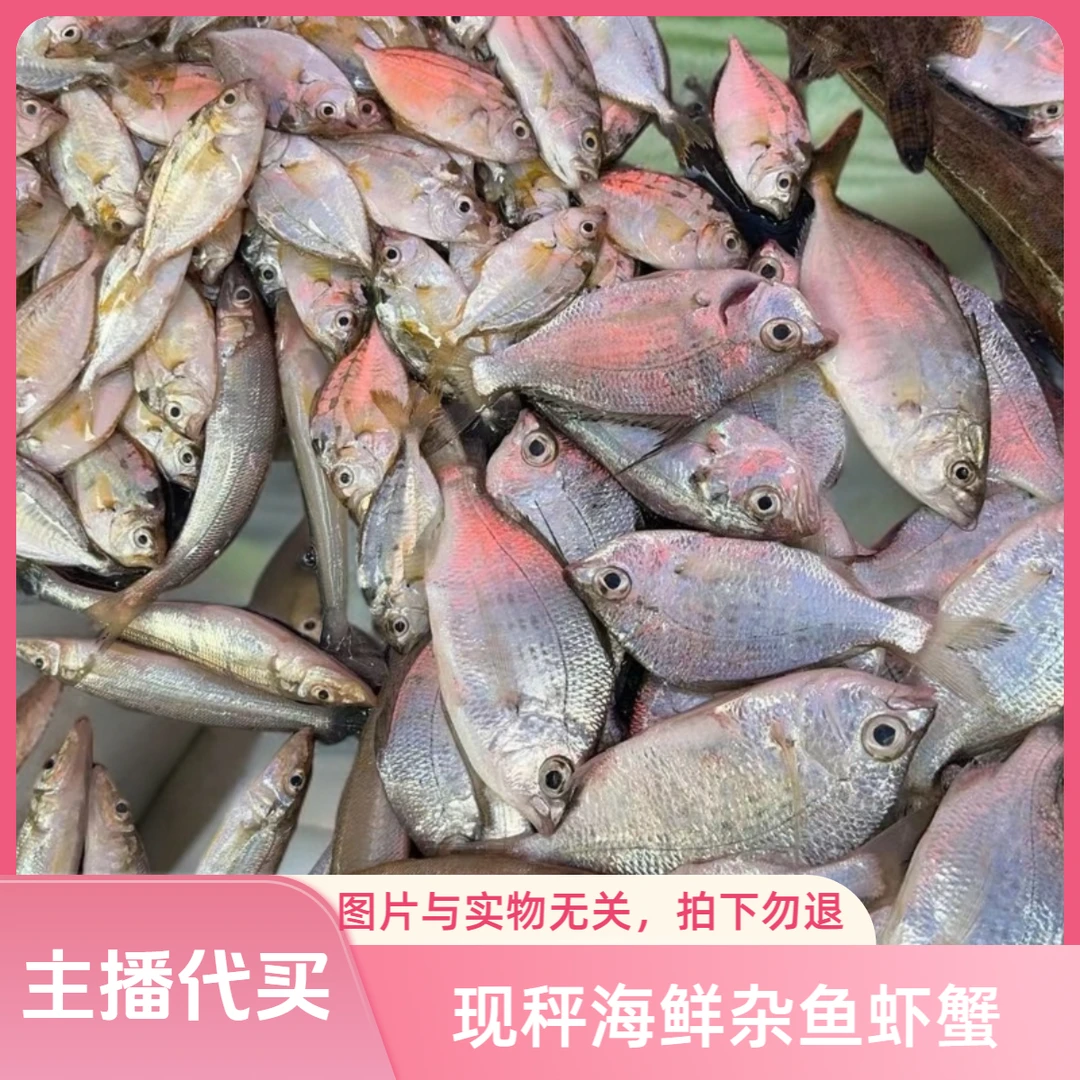 【渔多多阿君1】现秤海鲜  杂鱼虾蟹 1-100斤（改链接上架拍下勿退）
