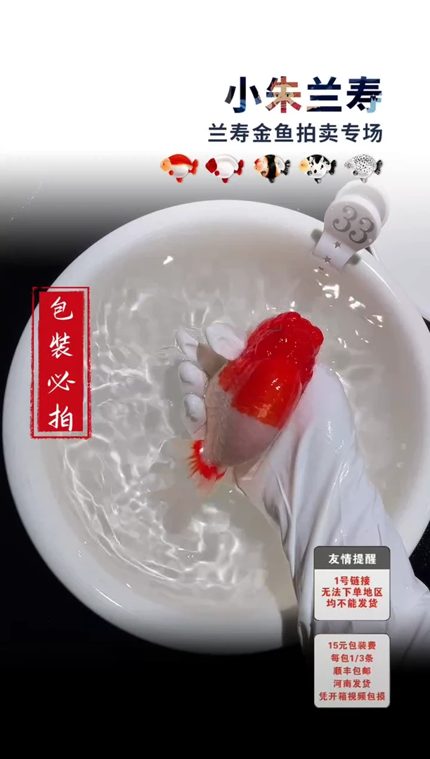 金鱼包装必拍未拍顺丰到付33号