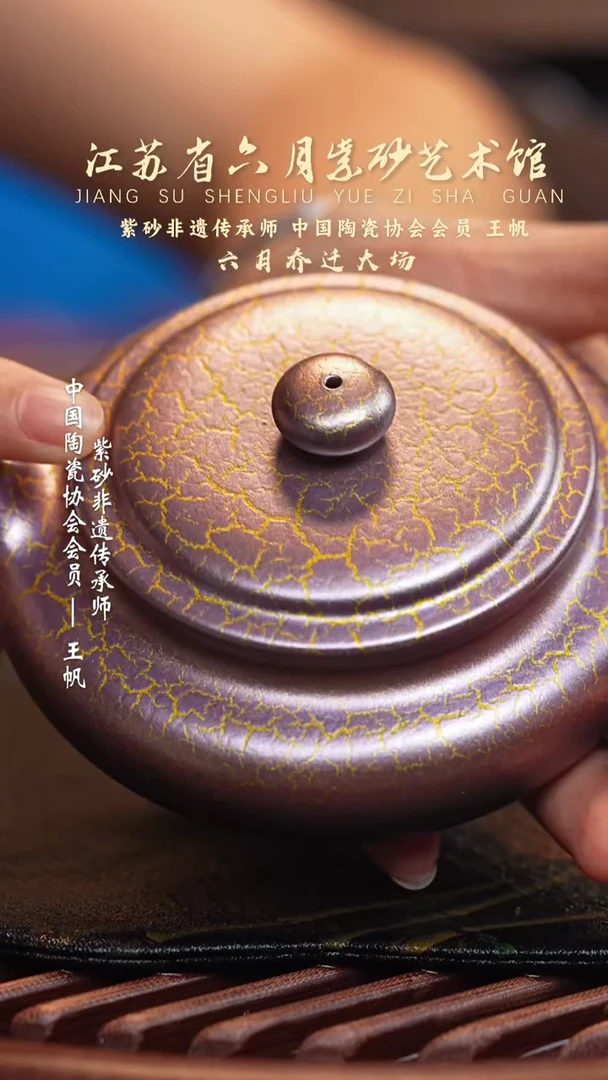 茶壶紫砂宜兴紫砂六月茶器