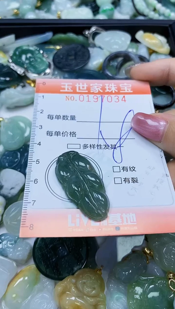 【闪购商品】翡翠颈饰未镶嵌闪购0197034