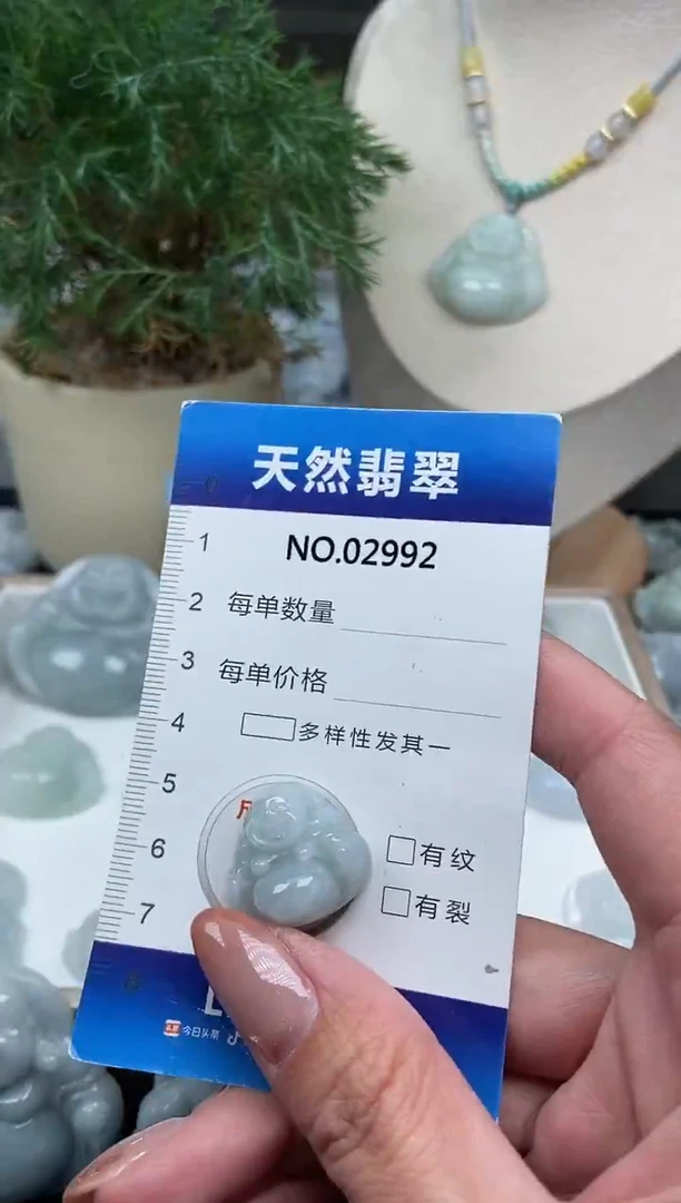 颈饰未镶嵌翡翠纯天然A货翡翠2992