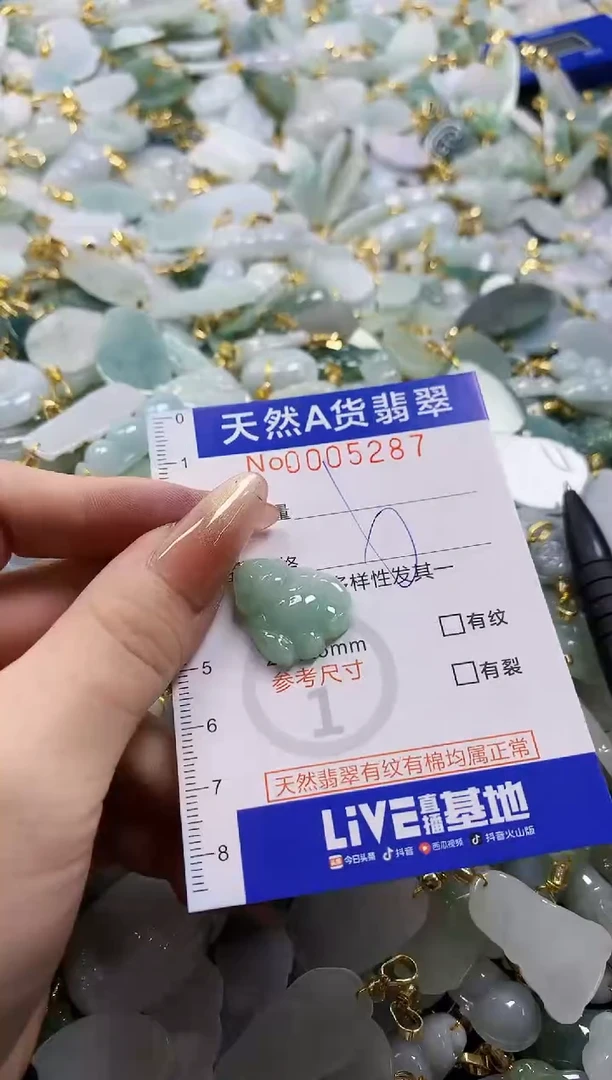 颈饰未镶嵌翡翠天然A货翡翠