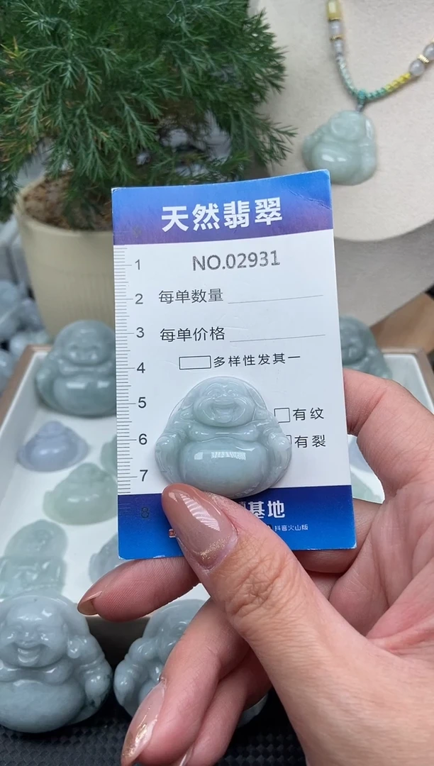 颈饰未镶嵌翡翠纯天然A货翡翠2931