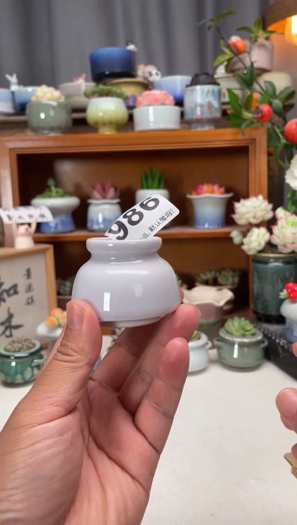 瓷片988知木小芳花盆