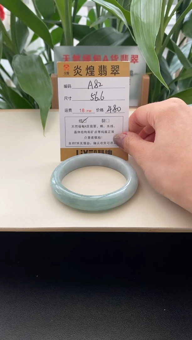 未镶嵌手镯翡翠圈口56.6编码A82