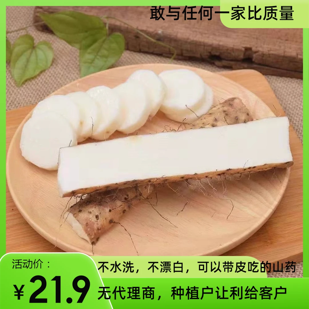 现挖铁棍山药产地直发新鲜小白嘴山药蒸煮粉糯炖不水洗不漂白