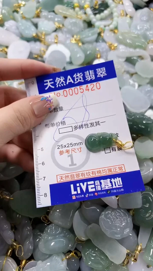 颈饰未镶嵌翡翠天然A货翡翠