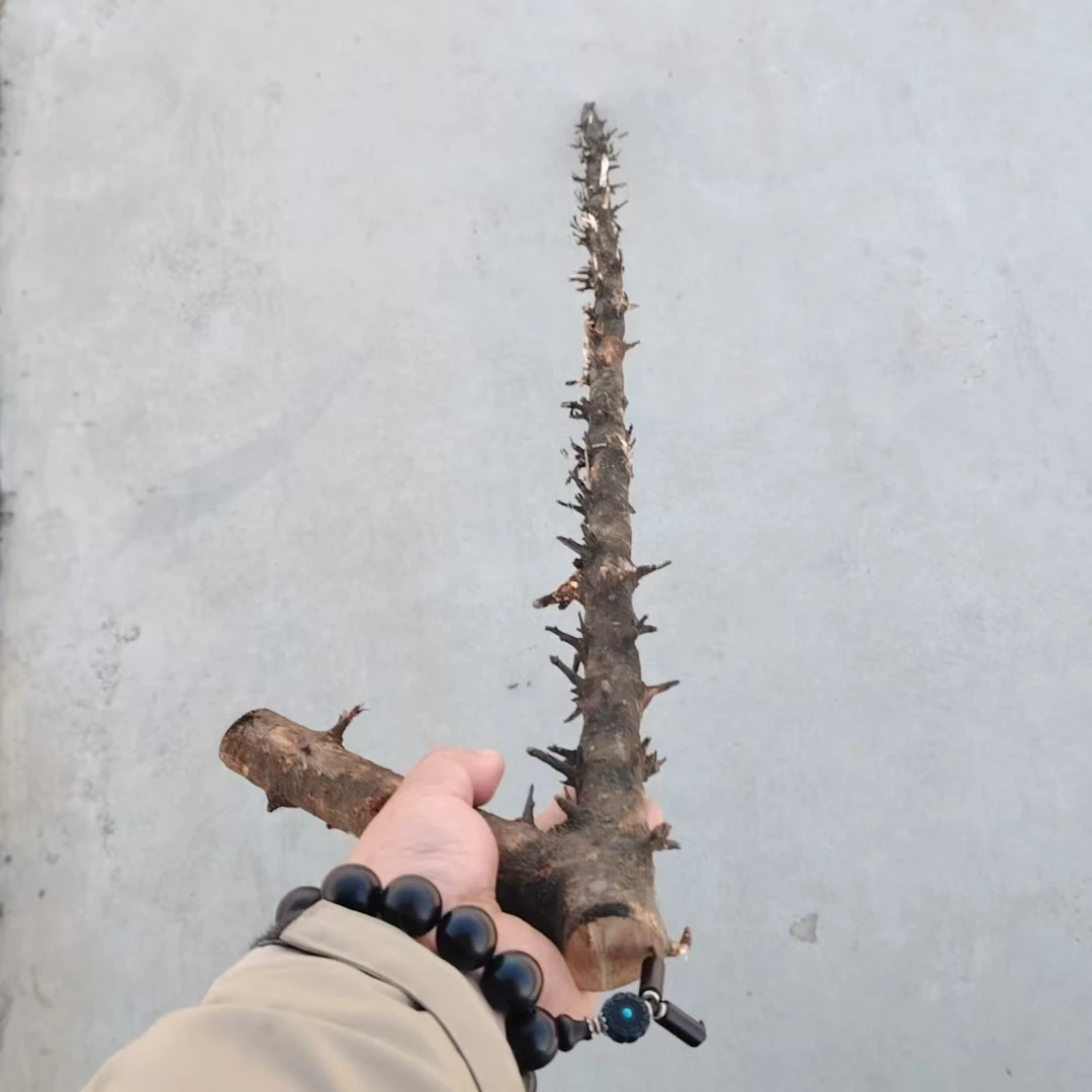 各种笔直武树棍健身棍