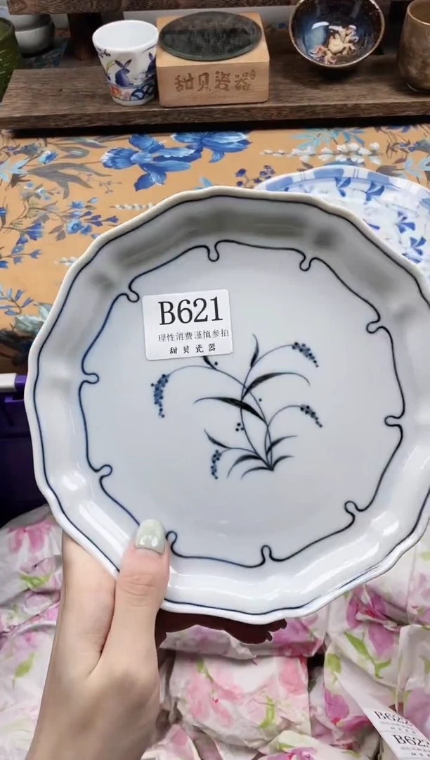瓷片小*子                B621