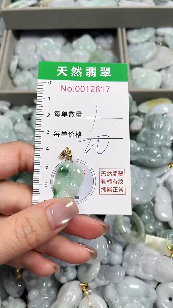 翡翠未镶嵌吊坠(不含链)2817