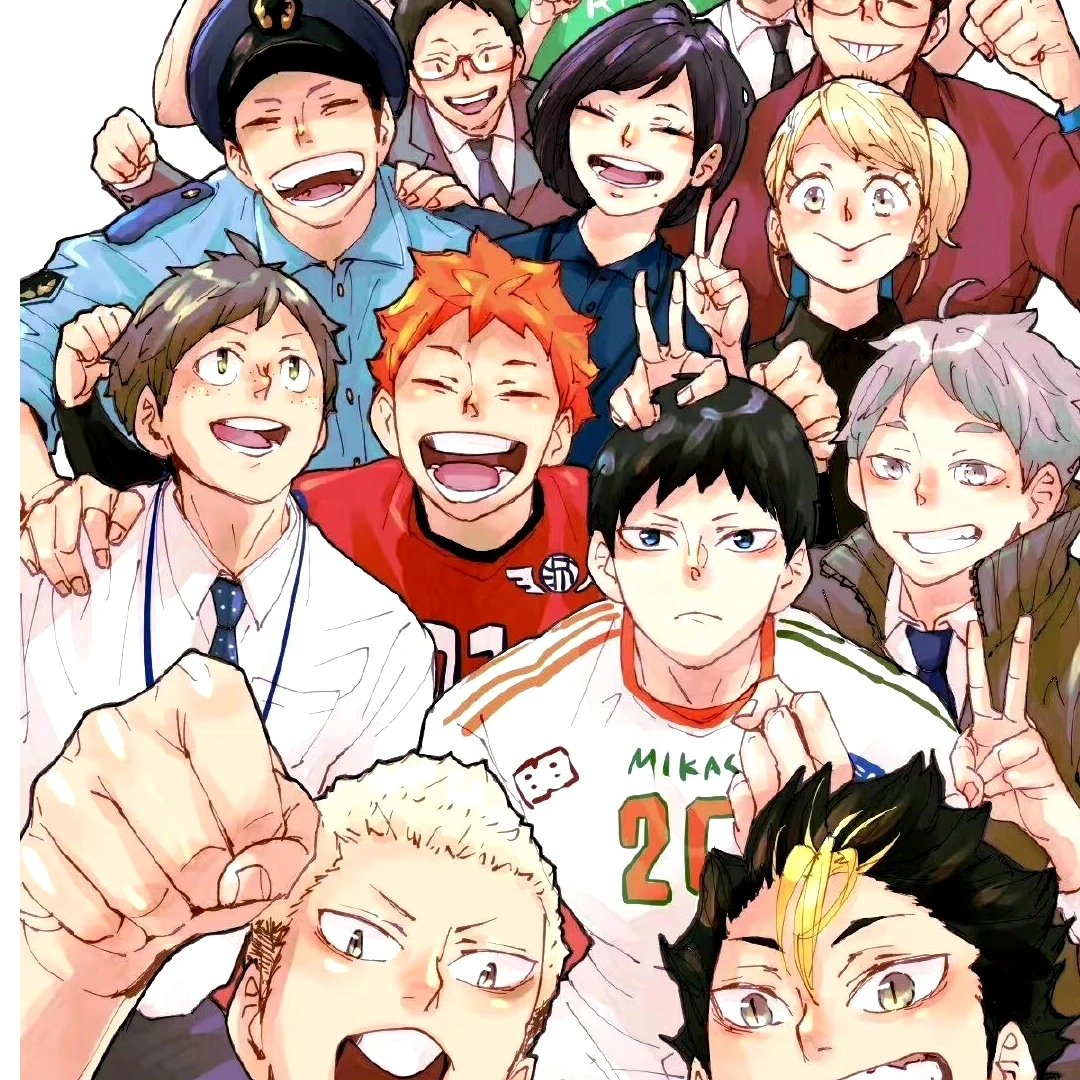 【默认代拆】排球少年 日谷合集