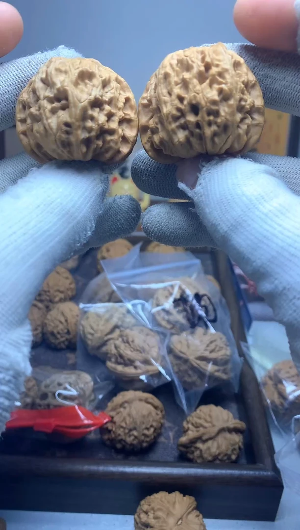 全场买一发二 下单送全品官帽     白狮子