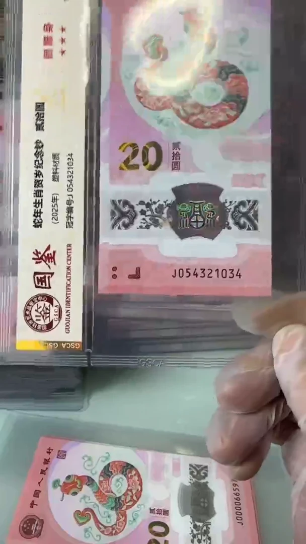 【闪购商品】塑料054321034-蛇钞单张！