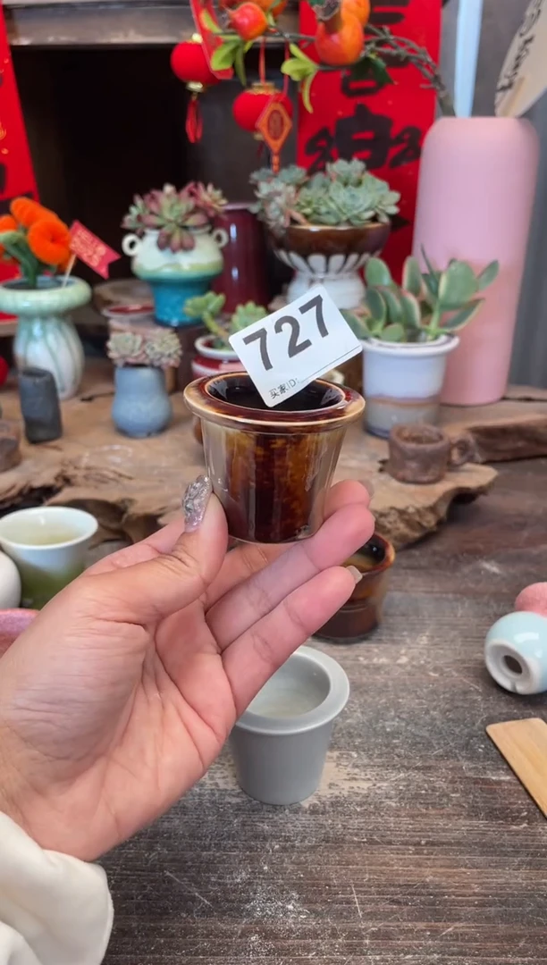 【闪购商品】摆件727福利知木小芳花盆
