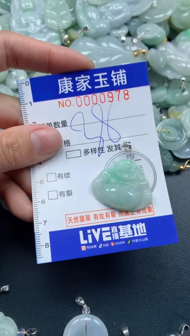 颈饰未镶嵌翡翠978