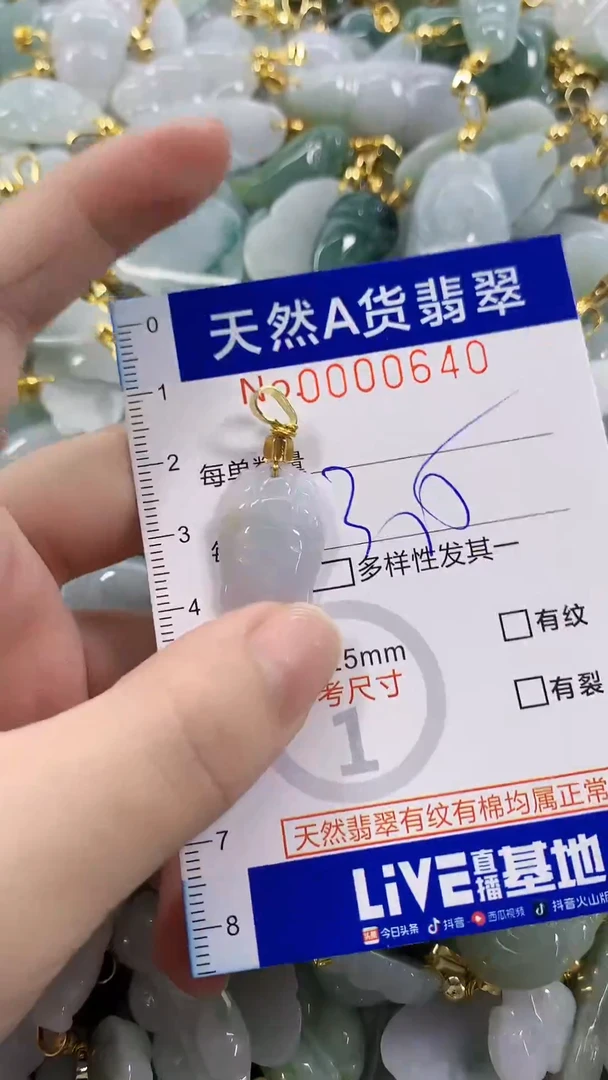 颈饰未镶嵌翡翠天然A货翡翠