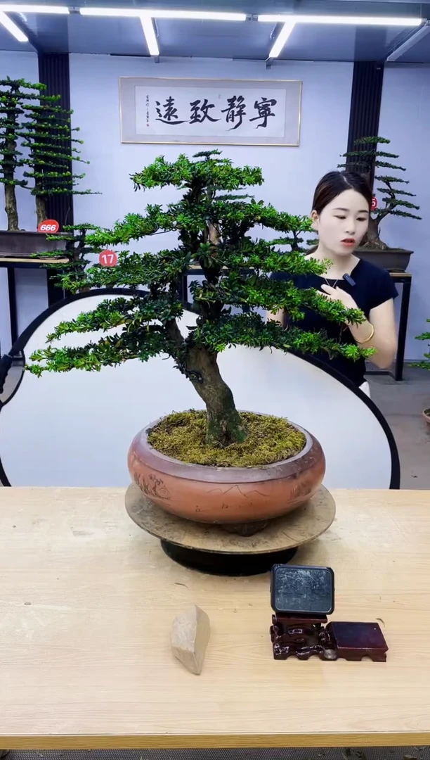 完全开放000000000000