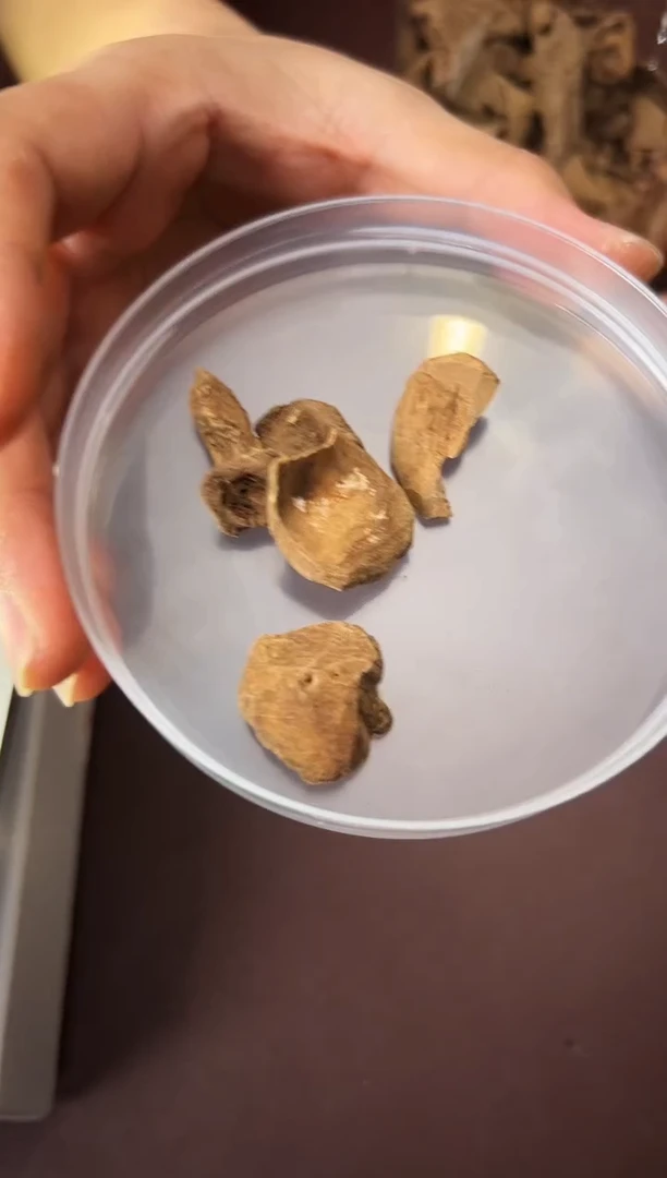 沉香碎屑沉香惠安红土碎料5克 多样性发货