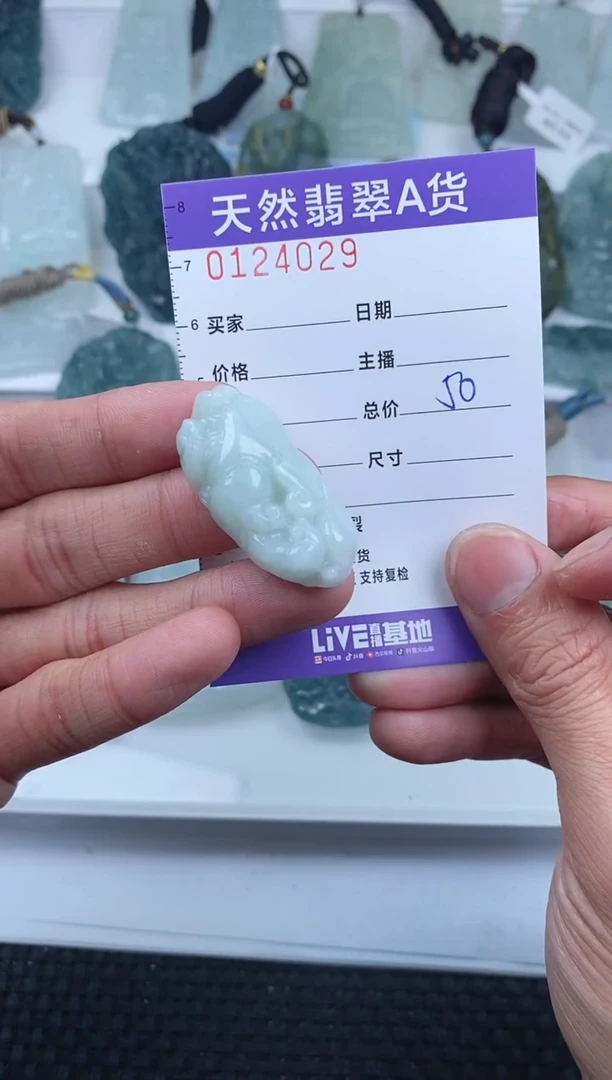 【闪购商品】翡翠颈饰未镶嵌        029