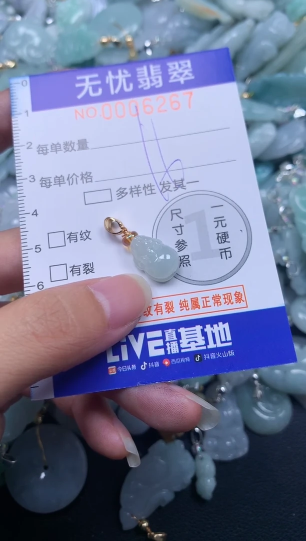 颈饰未镶嵌翡翠6267
