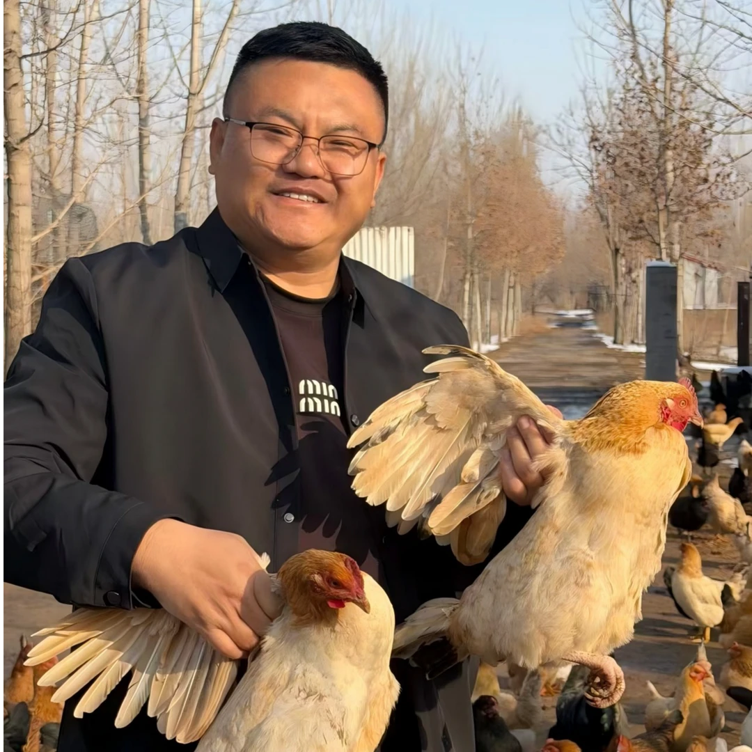 [张班长农场]溜达鸡700天以上黄油老母鸡（2只装）