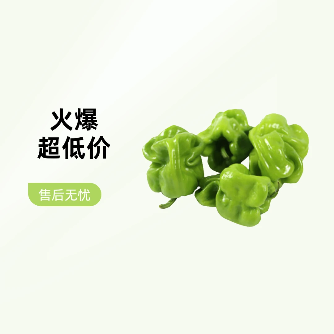 皱皮椒 约250g 一份新鲜 同城配送