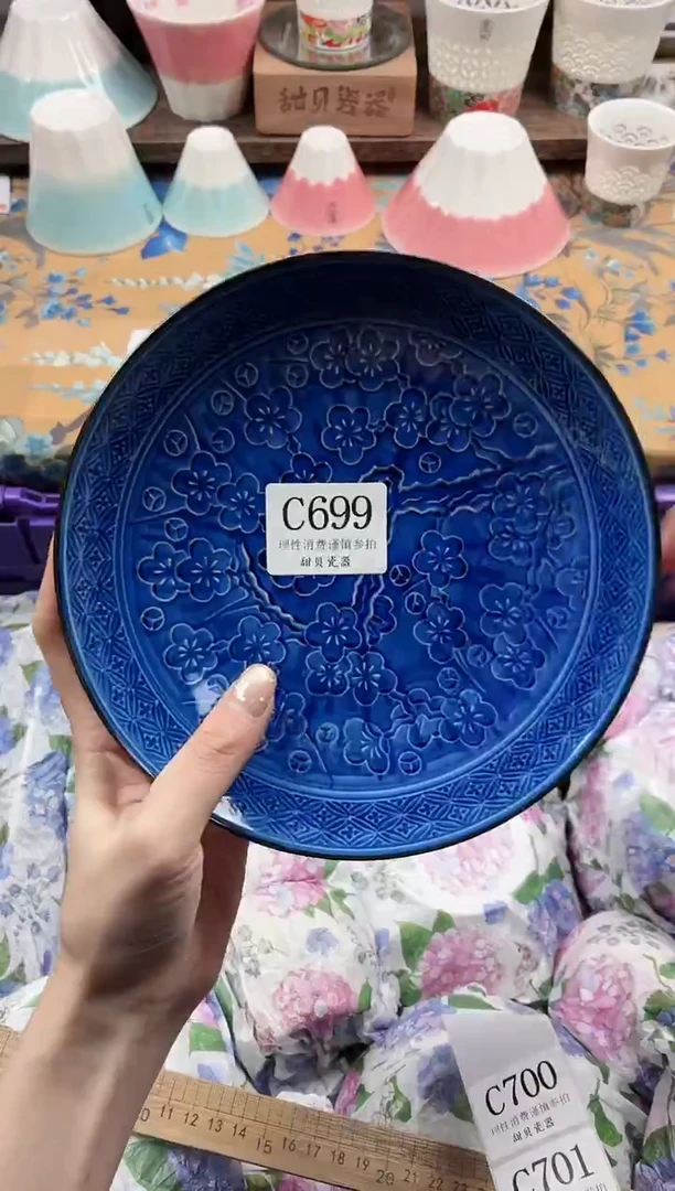 瓷片T**.                C699