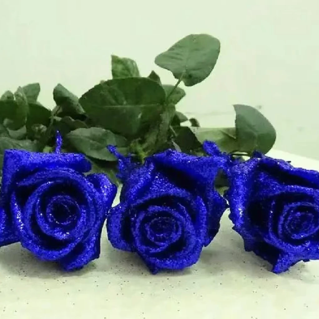 蓝色妖姬染色工艺鲜切花真花花束可做干花云南顺丰包邮新鲜发货