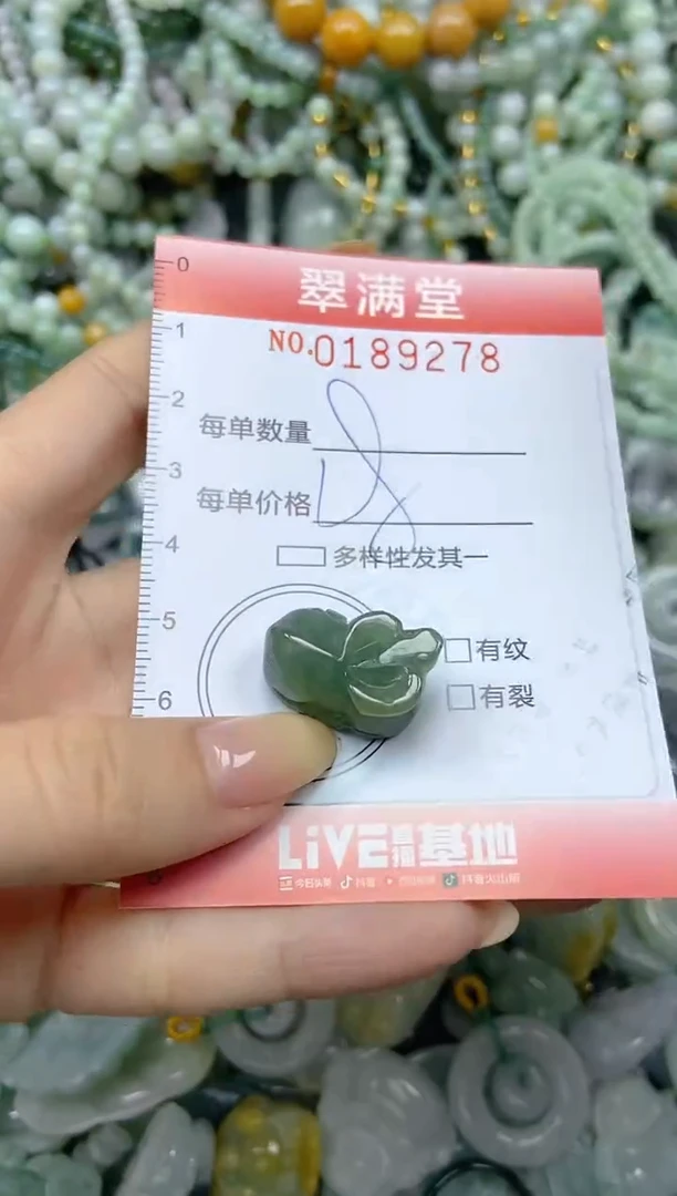 颈饰未镶嵌翡翠闪购0189278