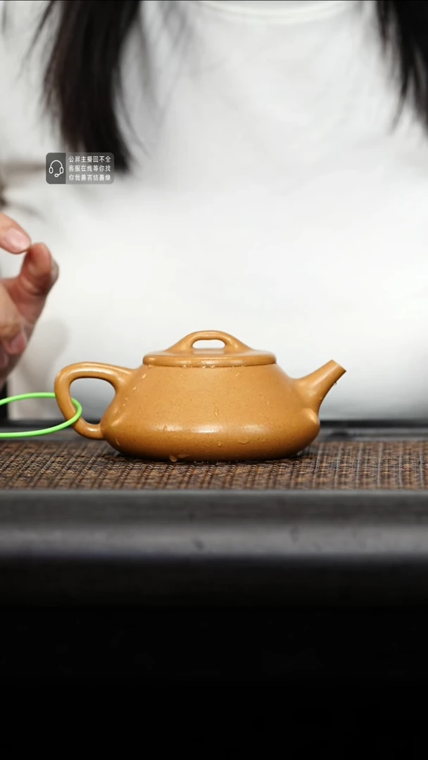 茶壶紫砂紫砂茶壶纳瓢