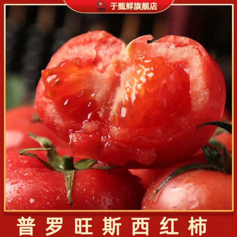 【于甄鲜】海阳普罗旺斯西红柿生吃番茄现摘沙瓤多汁4.5斤